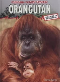 Orangutan by David Orme Hardback