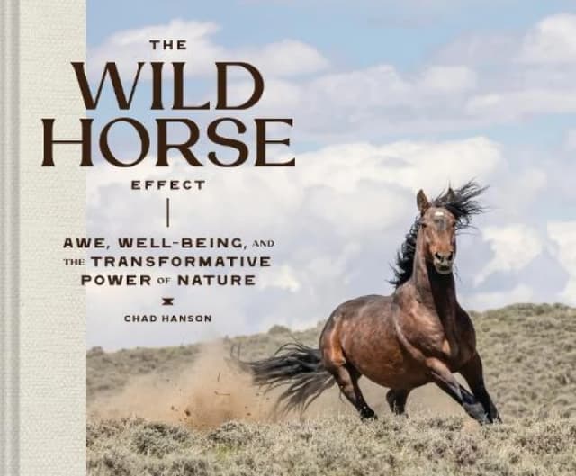 The Wild Horse Effect : Awe, Well-Being, and the Transformative Power of Nature Hardback