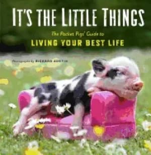 its the little things the pocket pigs guide to living your best life inspir