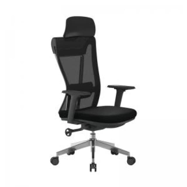 Highly Adjustable Eco-Friendly Mesh Chair Certified for 24 Hour Usage NTDSBCMM355BK