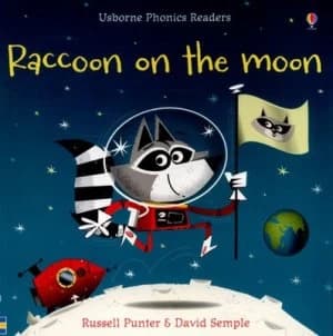 Racoon on the Moon by Russell Punter Paperback