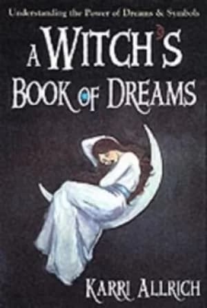 A witchs book of dreams by Karri Allrich