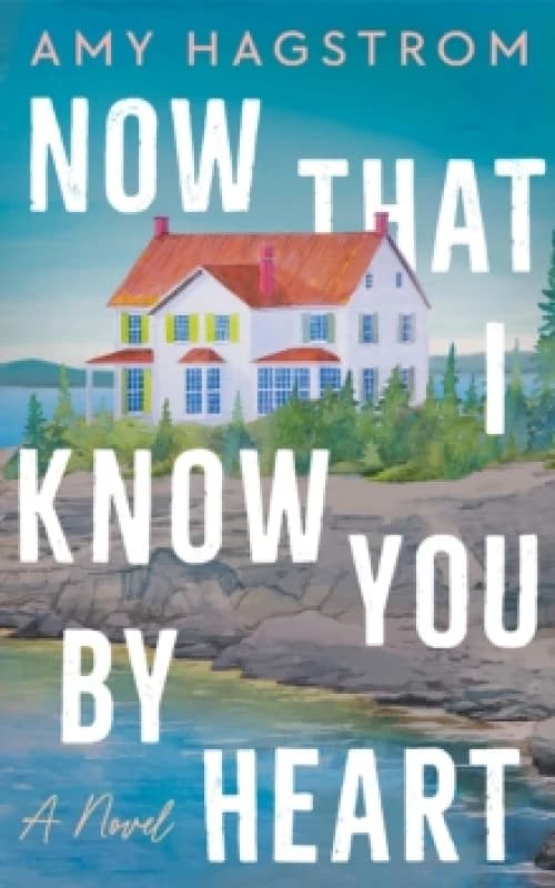 Now That I Know You by Heart : A Novel Paperback / softback