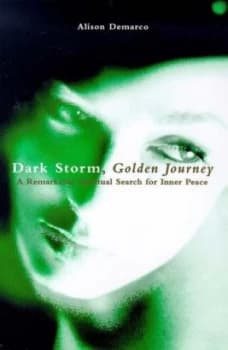 Dark Storm Golden Journey by Alison Demarco Book