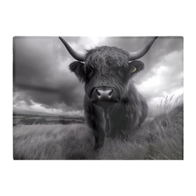 Warren Reed Designer Black And White Highland Cow Glass Chopping Board