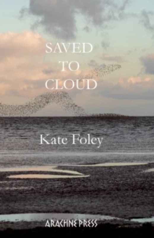 Saved to Cloud Paperback / softback