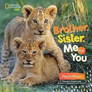 Brother, Sister, Me, and You Hardback 2019