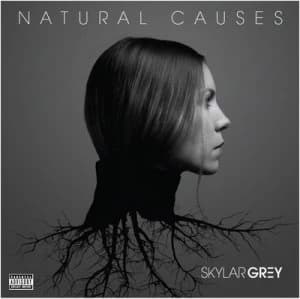 Natural Causes by Skylar Grey CD Album