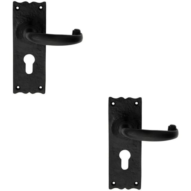 Loops 2x PAIR Forged Curved Handle on Euro Lock Backplate 155 x 54mm Black Antique Black
