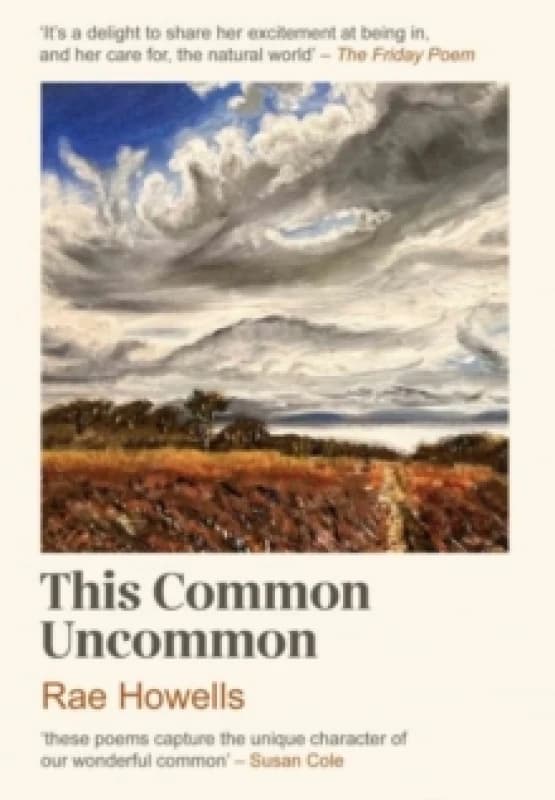 This Common Uncommon Paperback / softback