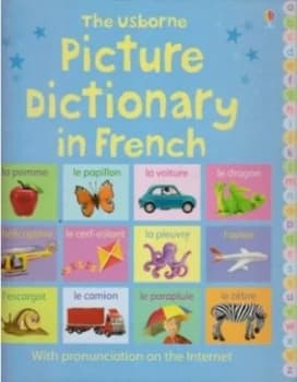 The Usborne Picture Dictionary in French by Felicity Brooks and Mairi Mackinnon Hardback