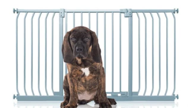 Bettacare Elite Pressure Dog Gate, 143Cm - 152Cm, Matt Grey, Pressure Fit Pet Gate For Dog And Puppy