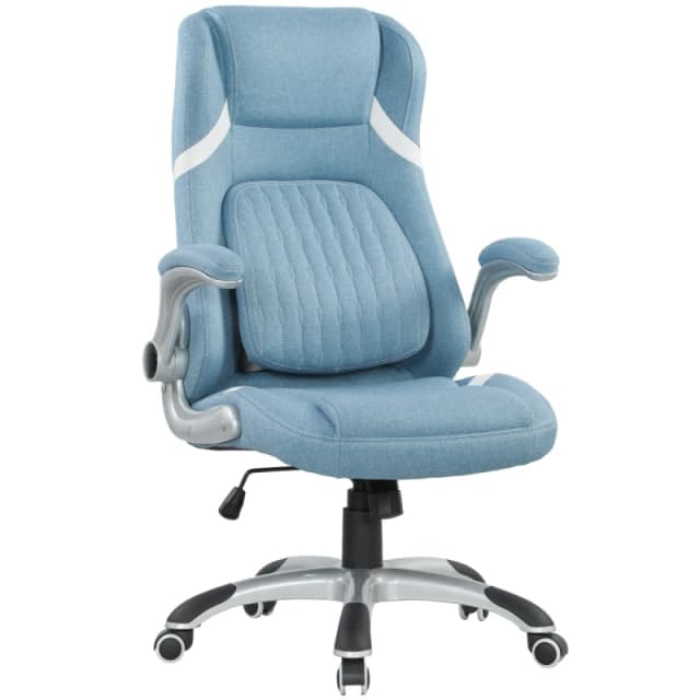 VINSETTO VINSETTO High Back Executive Office Chair w/ Adjustable Lumbar Flip-up Arms in Blue Blue One Size Unisex 5063603046535