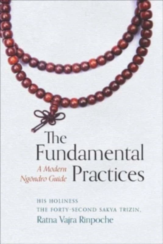 The Fundamental Practices : A Modern Ngondro Guide Paperback / softback