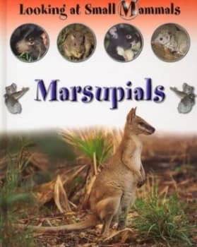 Marsupials by Sally Morgan Hardback
