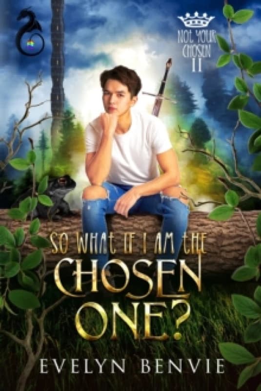 So What If I Am The Chosen One? Paperback / softback