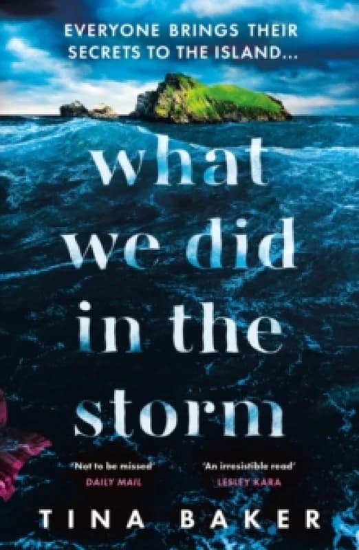 What We Did In The Storm Paperback / softback