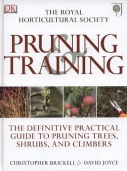 Pruning and Training by Dk Hardback