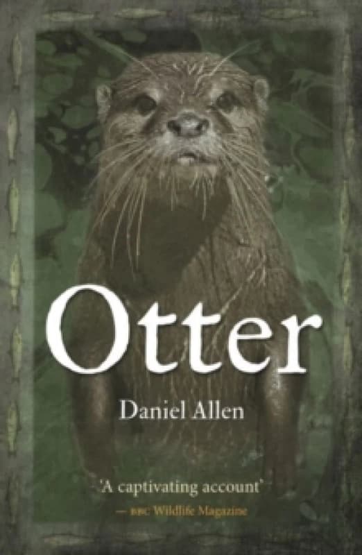Otter Paperback / softback