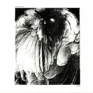 Domenico Crisci ‎- Velvet Vinyl