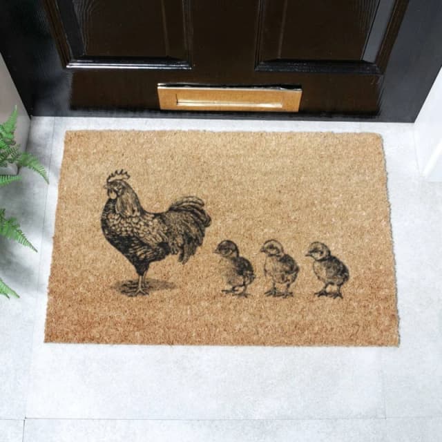 Artsy Mats Chickens & Chicks Doormat (60 x 40cm) in Brown Size: 40cm x 60cm Brown Unisex 40cm x 60 cm