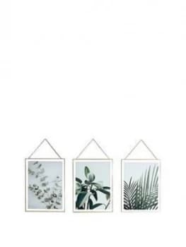 Arthouse Set 3 Botanical Framed Prints