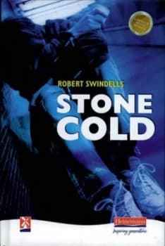 Stone Cold by Robert Swindells Hardback