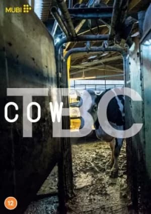 Cow (DVD)