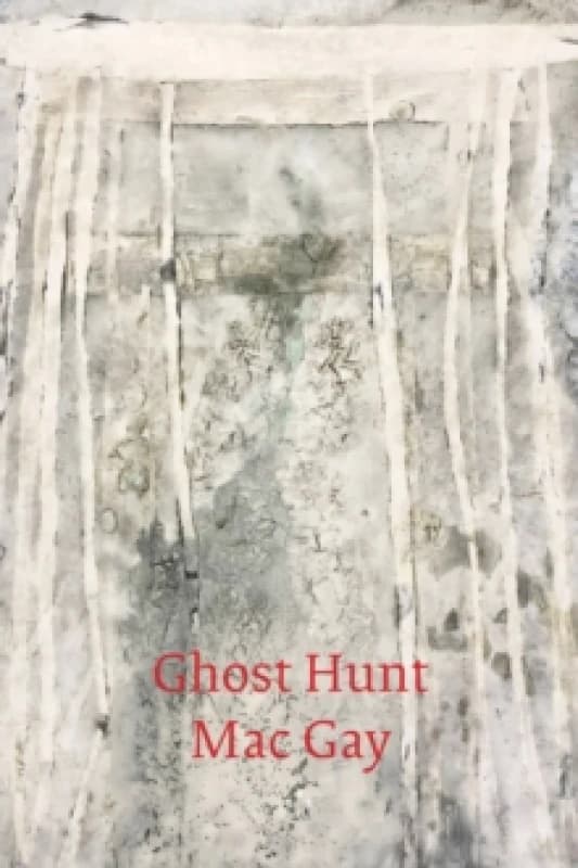Ghost Hunt Paperback / softback