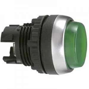 BACO BAL21CK20 L21CK20 Green