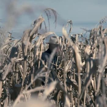 Chuck Mead Free State Sernade Vinyl