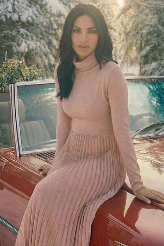 Roman Womens High Neck Pleated Midi Dress in Light Pink Size: 20 Light Pink Female 20