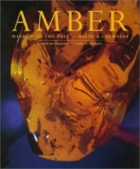 Amber by David a Grimaldi Paperback