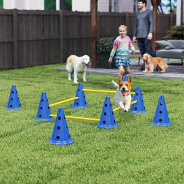 PawHut Dog Agility Equipment Set, Four Piece Adjustable Height Jumping, Blue D07-059V02BU