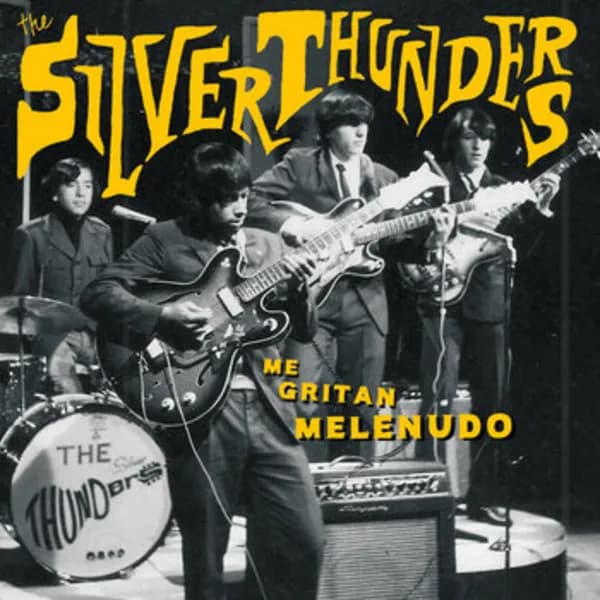 The Silver Thunders - Me Gritan Melenudo Vinyl
