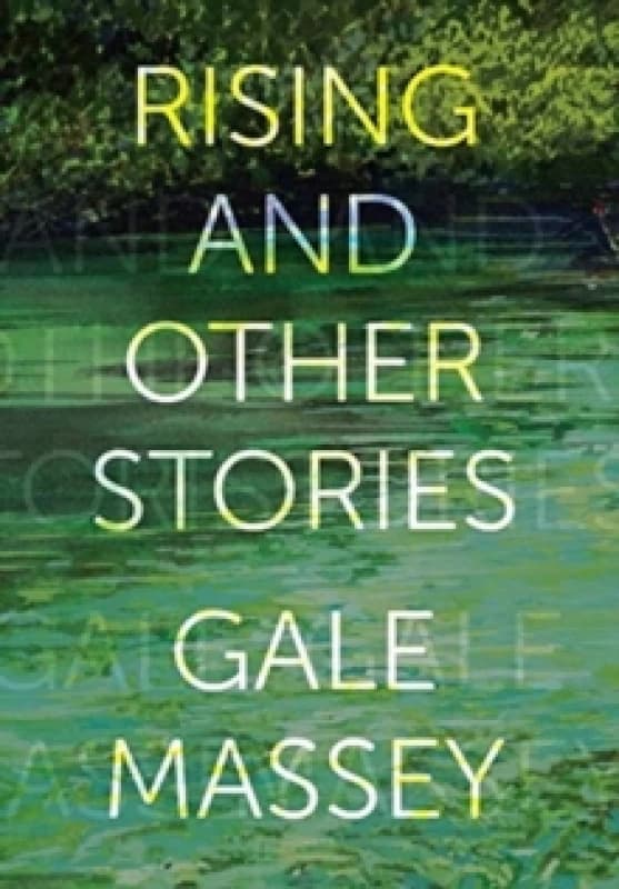 Rising and Other Stories Hardback