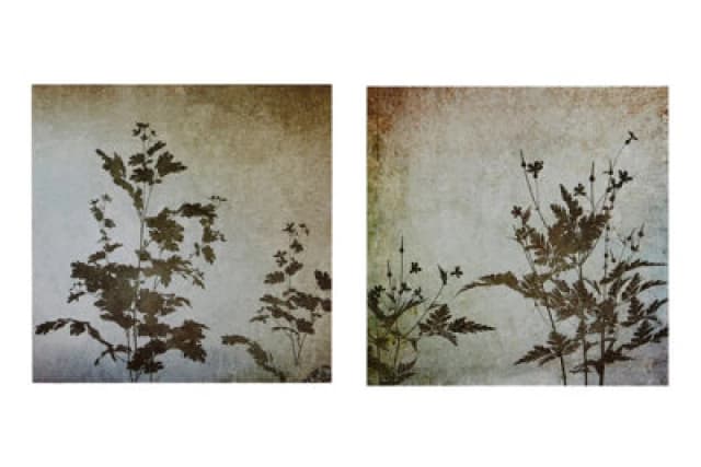 Premier Housewares Madera Textured Florals Wall Plaques - Set of 2 Natural