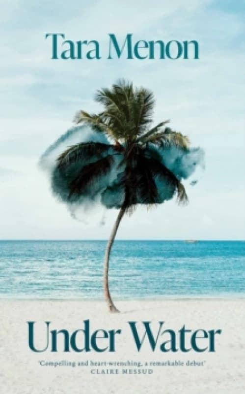 Under Water : 'Stunning' Sunday Times Hardback