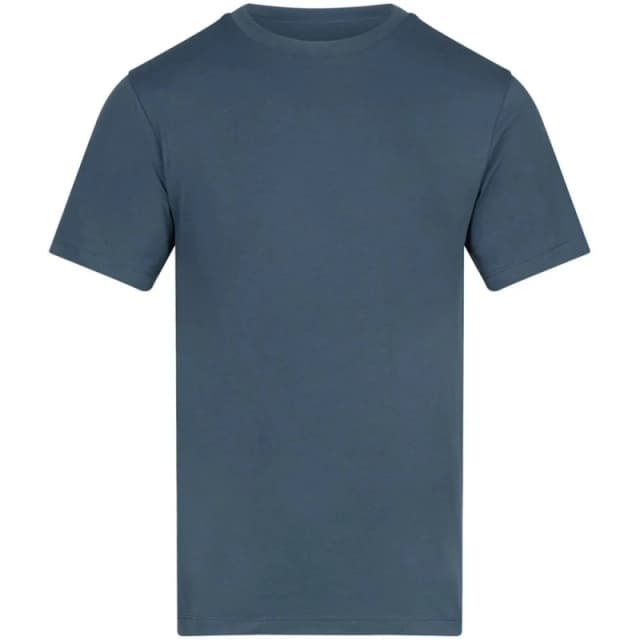 AWDis Mens Plain T-Shirt in Blue Size: 2XL Blue Male 2XL