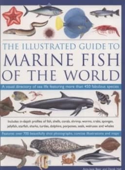 The Illustrated Guide to Marine Fish of the World by Amy-Jane Beer Book