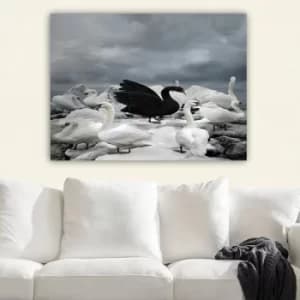 253808953_70100 Multicolor Decorative Canvas Painting