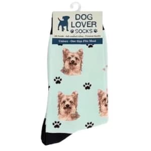 Dog Lover Socks Yorkie