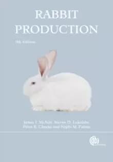 Rabbit Production