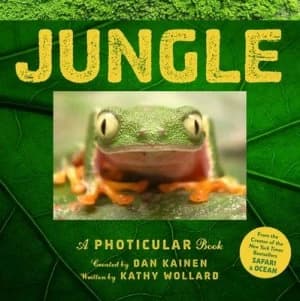 Jungle by Dan Kainen Hardback