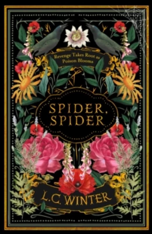 Spider, Spider. Hardback. By L C Winter Books