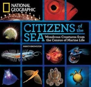 Citizens of the Sea by Nancy Knowlton Hardback