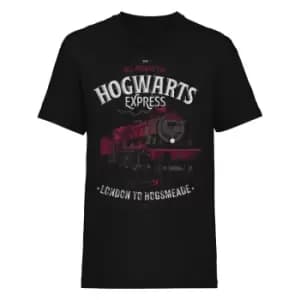Harry Potter Unisex Adult All Aboard T-Shirt (L) (Black)