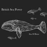 British Sea Power - Sea of Brass (Music CD)