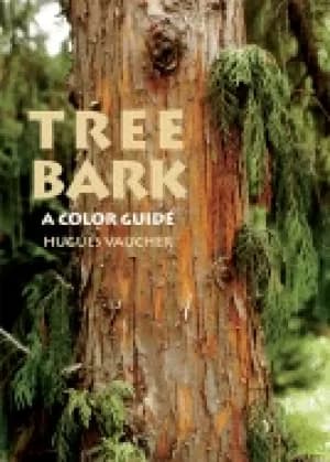 tree bark a color guide