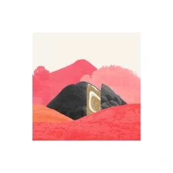 Islet - Eyelet Pink Vinyl